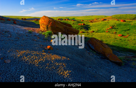 Roten Felsen coulee Stockfoto