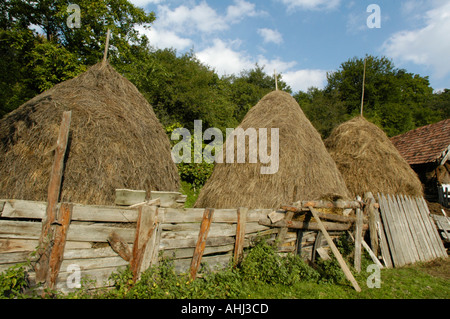 ATIA, traditionelles Dorf der ungarischen Minderheit in Rumänien in Hargitha, he Stockfoto