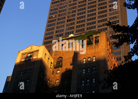 Rotes Backsteingebäude mit grünem Kriechgang, der über dem oberen Teil in goldenem, spätabendlichen Sonnenlicht wächst. New York, New York, USA. Stockfoto