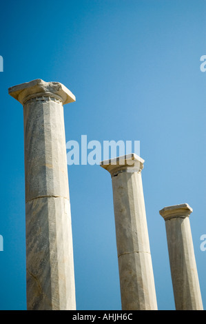 Das Haus des Dionysos auf dem Theater Viertel Delos der griechischen Kykladen Griechenland Mittelmeer Europa Stockfoto