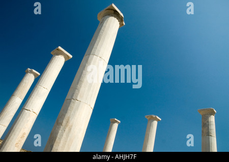 Das Haus des Dionysos auf dem Theater Viertel Delos der griechischen Kykladen Griechenland Mittelmeer Europa Stockfoto