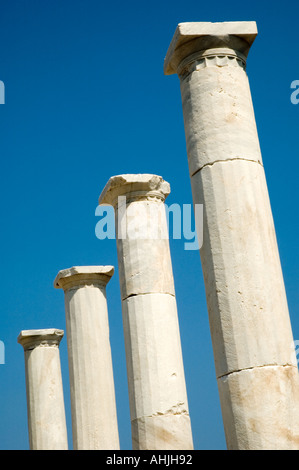 Das Haus des Dionysos auf dem Theater Viertel Delos der griechischen Kykladen Griechenland Mittelmeer Europa Stockfoto