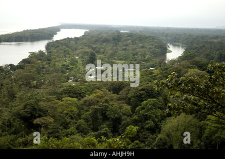 Blick über den tropischen Regenwald der Nationalpark Tortuguero, Costa Rica Stockfoto