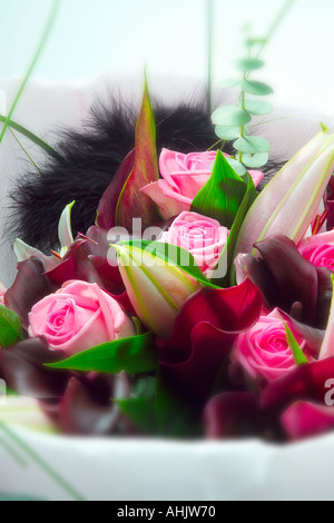 Nahaufnahme eines Straußes aus rosa Rosen und dunkelroten Calla-Lilien, eingewickelt in weißes Taschentuch mit schwarzen Federn Stockfoto