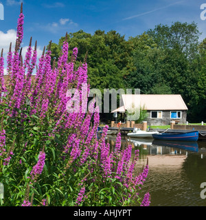 Boot Haus am Fluss Wey (Wey und Godalming Navigationen) in Guildford Surrey England UK Stockfoto