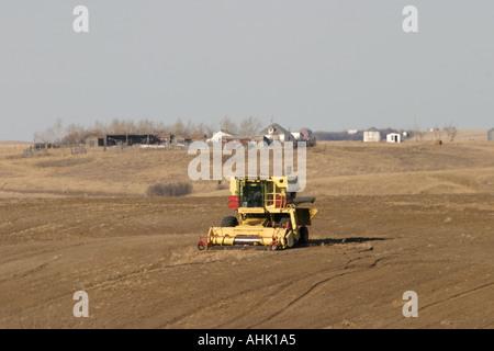 Im Leerlauf kombinieren in einem Feld von Saskatchewan Stockfoto