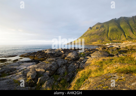 Abendlicht am Küste in der Nähe von Brenna Austvågøya Lofoten-Inseln Norwegen Stockfoto