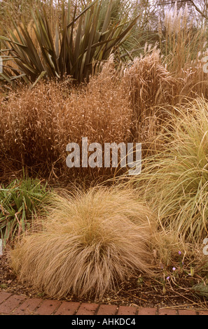 ZIERGRAS GRENZE IM RHS WISLEY GARDEN, SURREY, VEREINIGTES KÖNIGREICH, IM WINTER Stockfoto