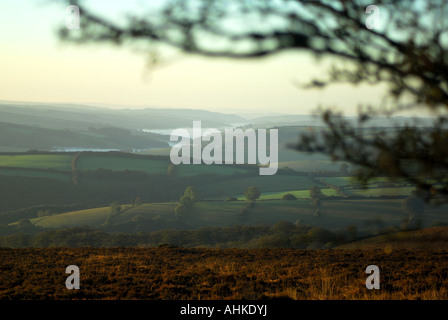Tagesanbruch über die neblige Täler auf die Egde Exmoor eine satte Tiefen Farbe verleiht der bracken Stockfoto
