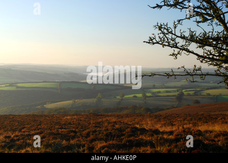 Tagesanbruch über die neblige Täler auf die Egde Exmoor eine satte Tiefen Farbe verleiht der bracken Stockfoto