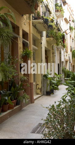 Cambrils Küstenstadt in der Comarca Baix Camp, Provinz Tarragona, Katalonien, Spanien Vogelkäfige in die Fenster und Balkone Stockfoto