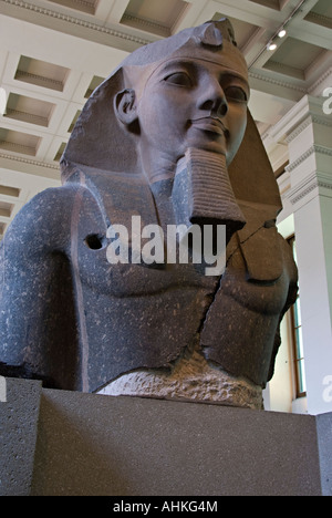 Kolossalstatue von Ramses II. im British Museum ausgestellt Stockfoto