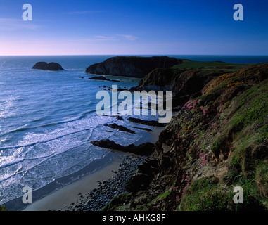 Blick entlang der Küste mit Blick auf Traeth Llyfn Pembrokshire Wales UK Stockfoto