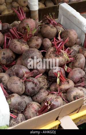 Rohe rote Beete zum Verkauf am stall Stockfoto