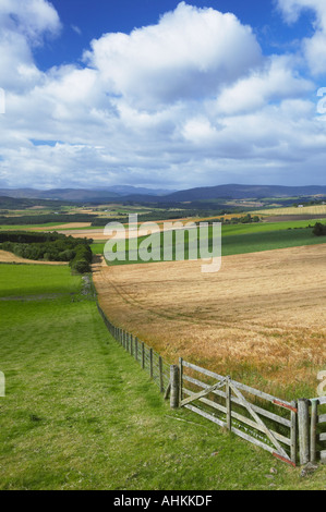 Die Queens View, Cromar in der Nähe von Aboyne und Ballater, Aberdeenshire, Schottland Stockfoto