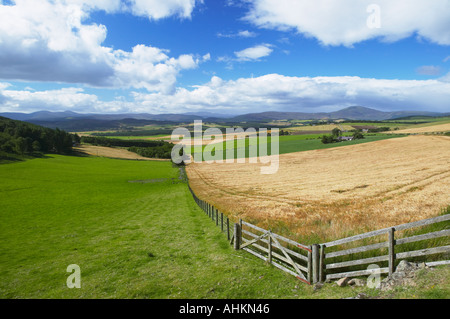 Die Queens View, Cromar in der Nähe von Aboyne und Ballater, Aberdeenshire, Schottland Stockfoto