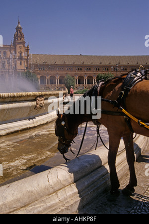 Pferd trinkt aus einem Brunnen in Plaza de Espana Sevilla Andalusien Spanien Stockfoto