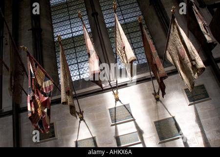 Farben der Wiltshire Regiment in Salisbury Kathedrale GB UK Stockfoto