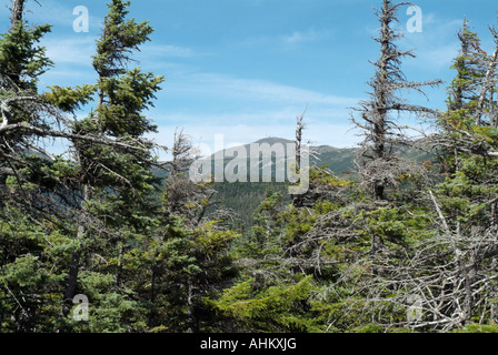 Mount Washington von Davis Pfad befindet sich in den weißen Bergen New Hampshire USA Stockfoto