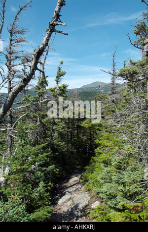 Mount Washington von Davis Pfad befindet sich in den weißen Bergen New Hampshire USA Stockfoto