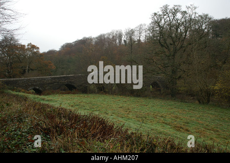 Greystones Brücke über den Tamar River zwischen Devon und Cornwall Stockfoto