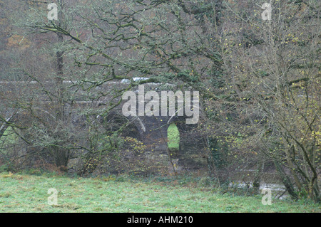 Greystones-Brücke über den Tamar River zwischen Devon und Cornwall South West England UK Großbritannien Europe Stockfoto