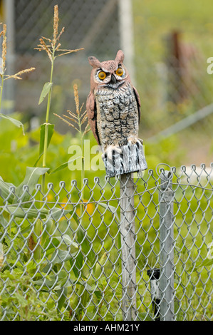 Garten mit Eule Vogelscheuche auf Maschendrahtzaun an der antiken Gas und Dampfmaschine Museum Vista Kalifornien USA Stockfoto