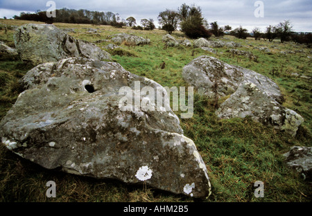 Sarsen Steinen im Tal Fyfield unten National Nature Reserve Ridgeway Avebury Wiltshire England 01 11 2004 Stockfoto