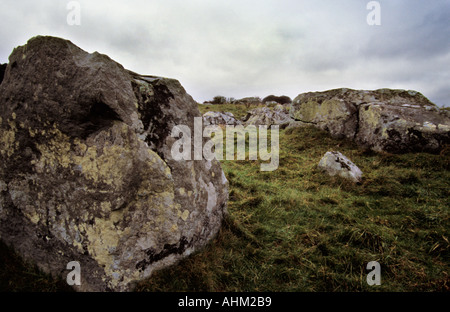 Sarsen Steinen im Tal Fyfield unten National Nature Reserve Ridgeway Avebury Wiltshire England 01 11 2004 Stockfoto