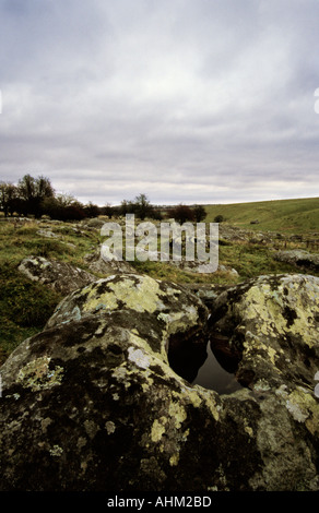 Sarsen Steinen im Tal Fyfield unten National Nature Reserve Ridgeway Avebury Wiltshire England 01 11 2004 Stockfoto