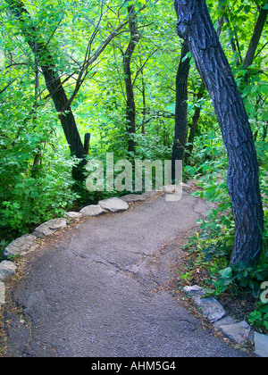 Gepflastert, Stein gesäumten Pfad schlängelt sich durch bewaldetes Gebiet Stockfoto