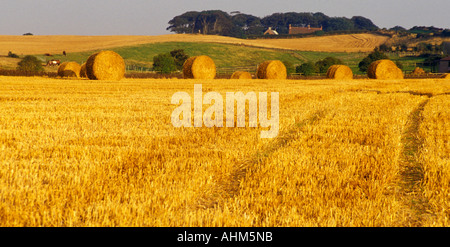 Strohballen im Abendlicht auf einem Bauernhof in North Yorkshire Stockfoto