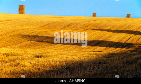 Strohballen am Horizont im Abendlicht auf einem Bauernhof in North Yorkshire Stockfoto