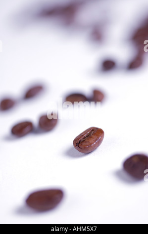 Nahaufnahme von Kaffeebohnen Stockfoto