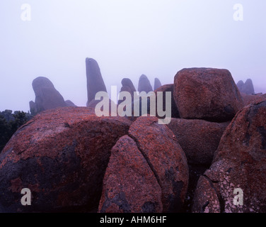 Dolorite Felsbrocken auf dem Gipfel des Mt Wellington Tasmanien Australien Stockfoto