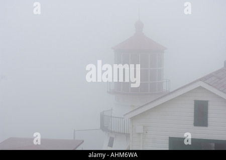 Point Reyes Leuchtturm California auf eine typische nebeligen Sommertag Stockfoto