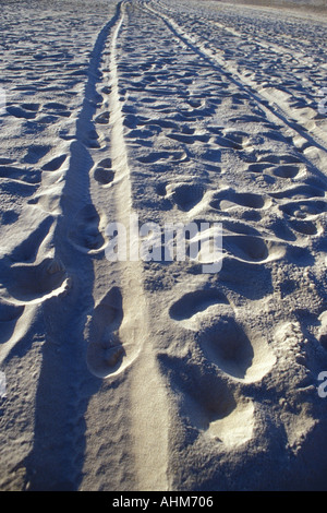 Fußspuren und Reifenspuren im Sand Stockfoto