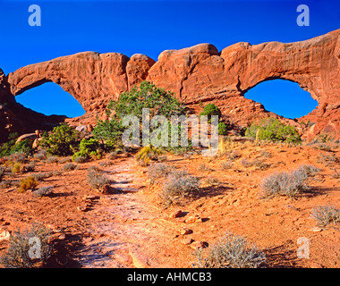 Nord- und Süd-Fenster Bögen im Arches National Park zeigt die kräftige rote Farbe der Felsen und mit Bright Blue sky Stockfoto