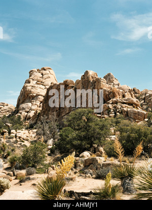 Kletterer punktieren die Felsbrocken in Hidden Valley Joshua Tree Nationalpark Kalifornien USA Stockfoto