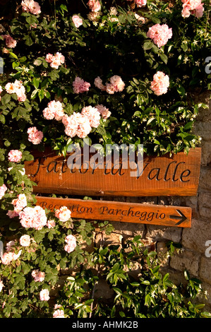 Toskana Italien geschrieben Fattoria Valle Land Sitz Immobilien Herrenhaus Villa Blumen Stockfoto