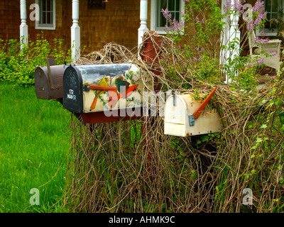 Postfächer vor Haus in Sandwich Cape Cod Massachusetts usa Stockfoto