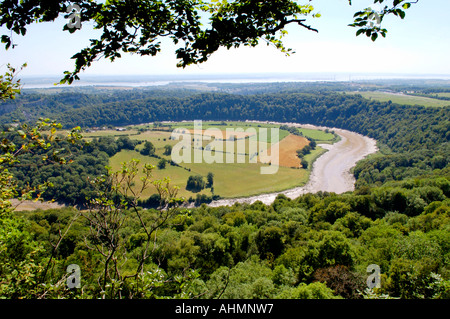 Blick über niedrigere River Wye Valley von Eagles Nest Aussichtspunkt am Wyndcliff nahe Chepstow Monmouthshire South East Wales UK Stockfoto