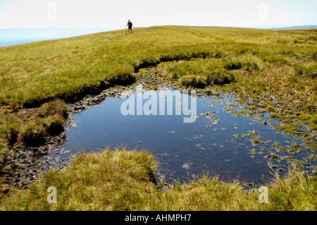 Einsamer Wanderer öffnen Berggipfel mit Wasserbecken auf Fan-Lila in den Brecon Beacons National Park Powys South Wales UK Stockfoto