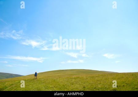 Einsamer Wanderer auf Fan-Lila Berggipfel öffnen Moor in den Brecon Beacons National Park Powys South Wales UK Stockfoto