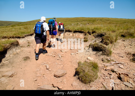 Geführte walking-Gruppe auf erodierten Trail Fan Lila in den Brecon Beacons National Park Powys South Wales UK Stockfoto