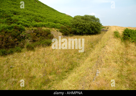Gelände der ehemaligen Zeche Henllys im 19. Jahrhundert geschlossen 1927 einmal geöffnet beschäftigt mehr als 1000 Männer nr obere Cwmbran South Wales UK Stockfoto