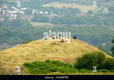 Tipp der ehemaligen Zeche Henllys im 19. Jahrhundert geschlossen 1927 einmal geöffnet beschäftigt mehr als 1000 Männer nr obere Cwmbran South Wales UK Stockfoto