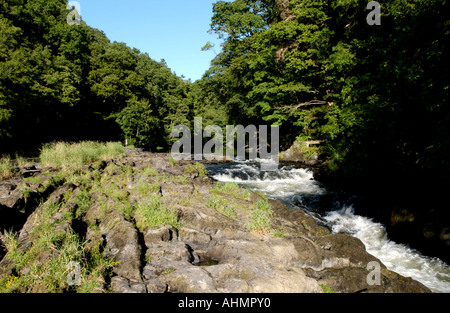 Fluss Teifi bei Cenarth Ceredigion West Wales UK Stockfoto