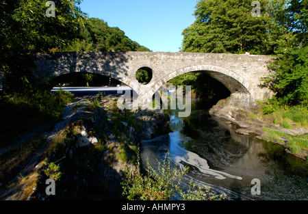 Brücke über den Fluss Teifi Blick stromaufwärts am Cenarth Ceredigion West Wales UK Stockfoto