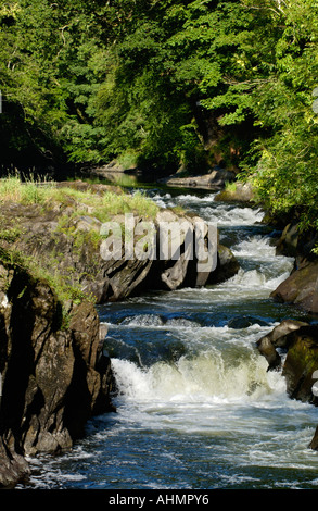 Fluss Teifi bei Cenarth Ceredigion West Wales UK Stockfoto